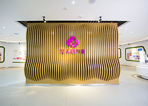 首頁(yè) - 陜西三八婦樂科技股份有限公司